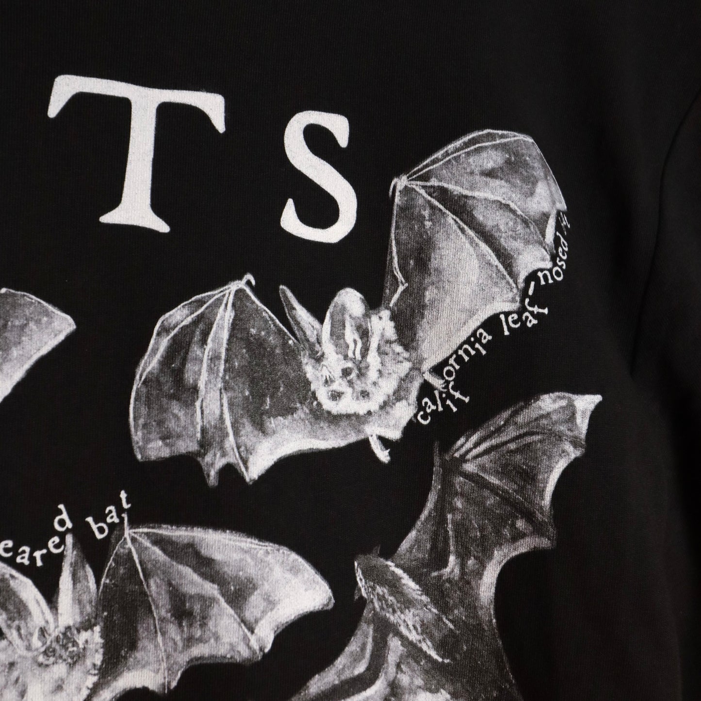 ✶Camiseta de murciélagos✶