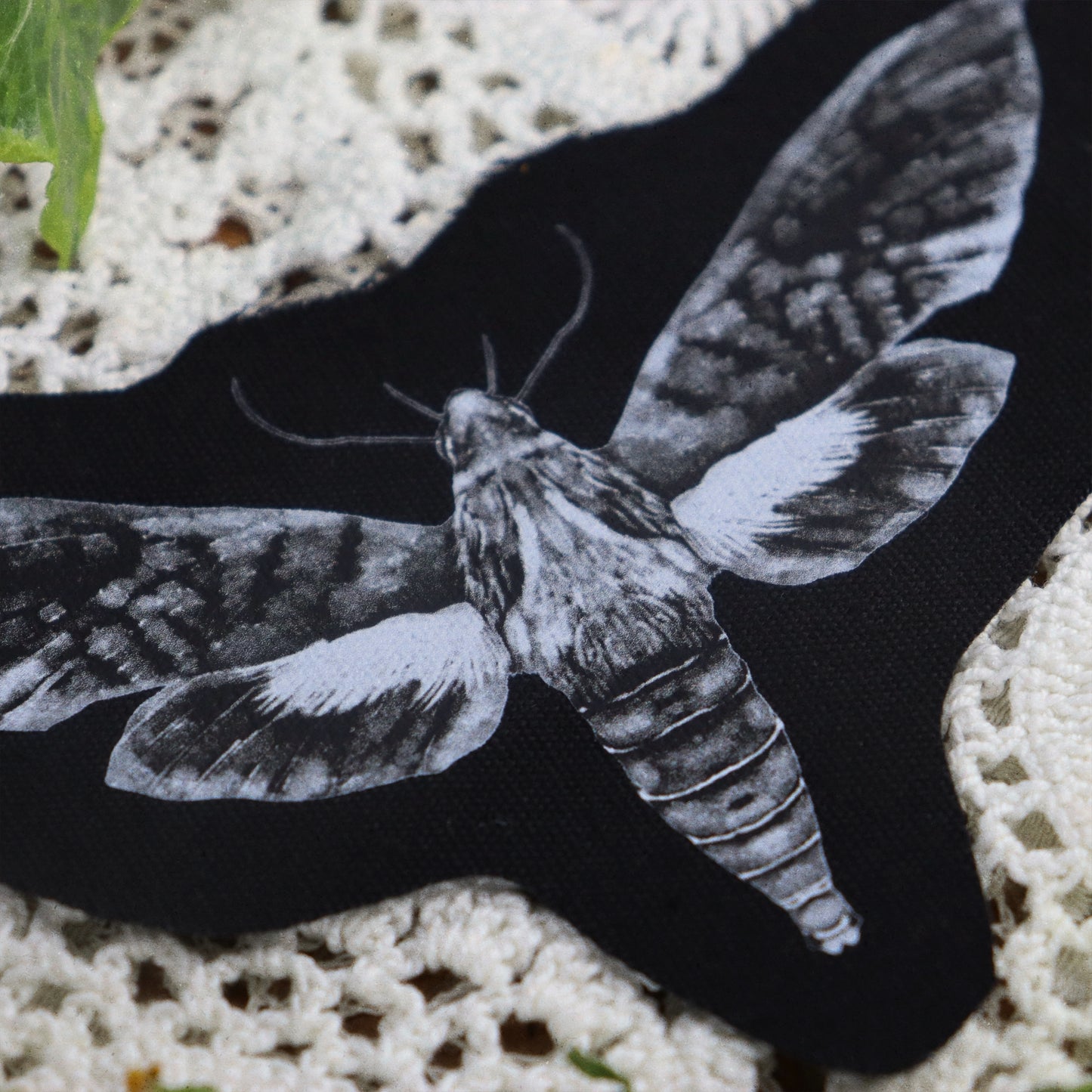 Moth patch