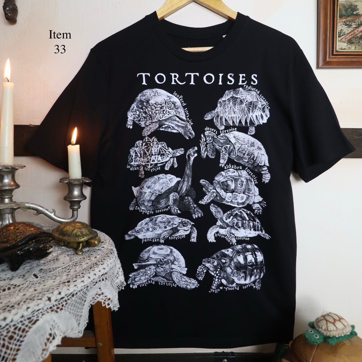 ✶SAMPLE SALE ✶ Item 33: Tortoise t-shirt  ✶ Size: M