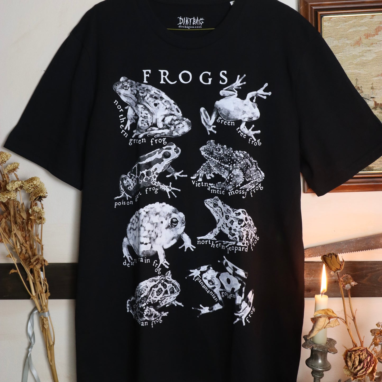 ✶Camiseta de ranas✶