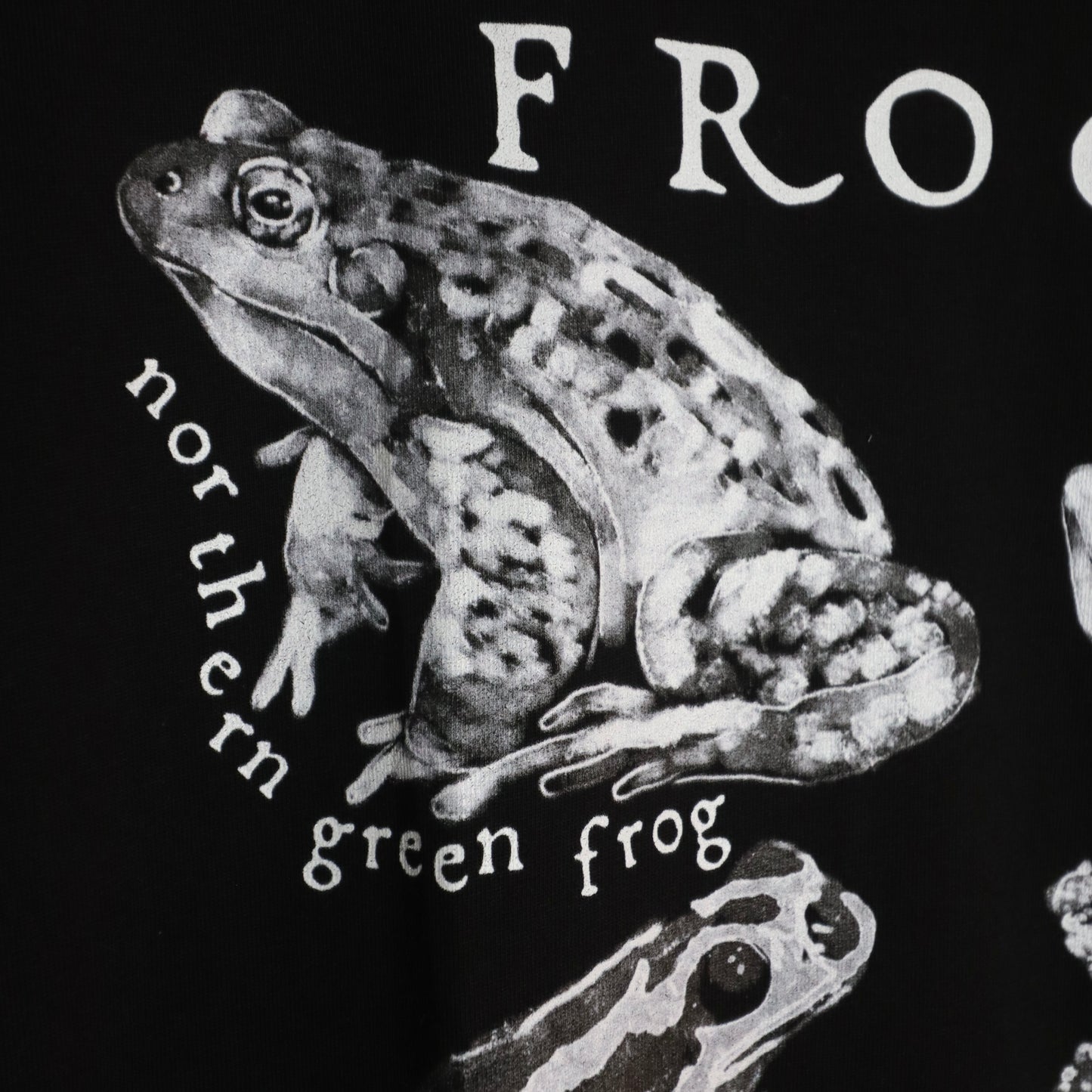 ✶Camiseta de ranas✶