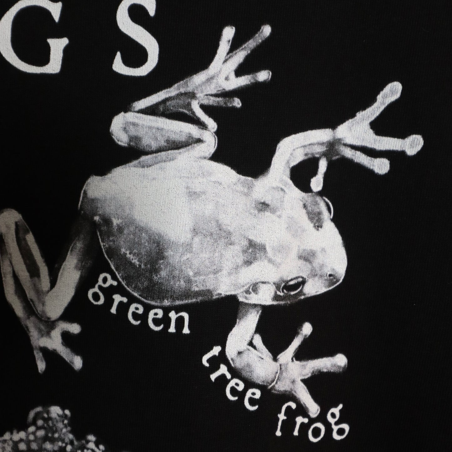 ✶Camiseta de ranas✶