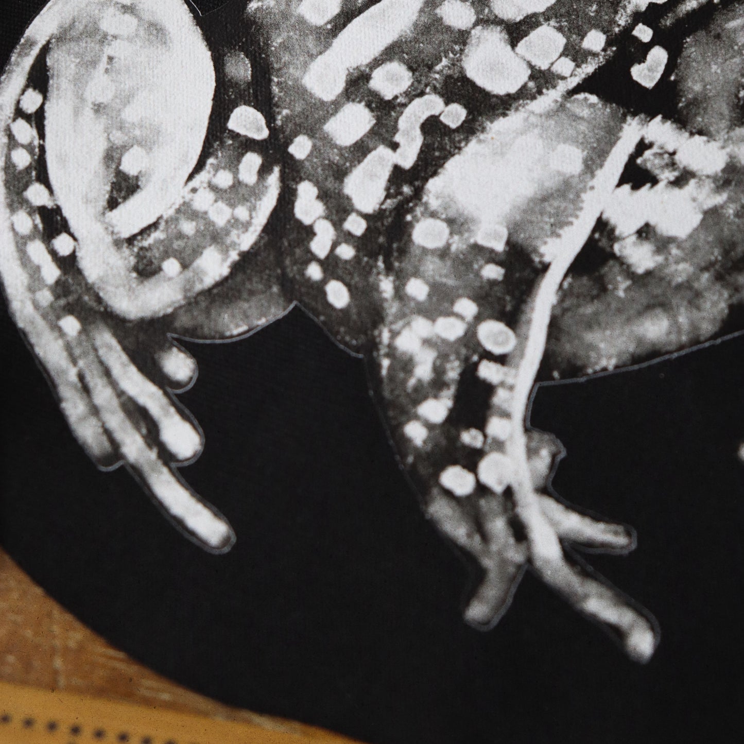 parche de ranas