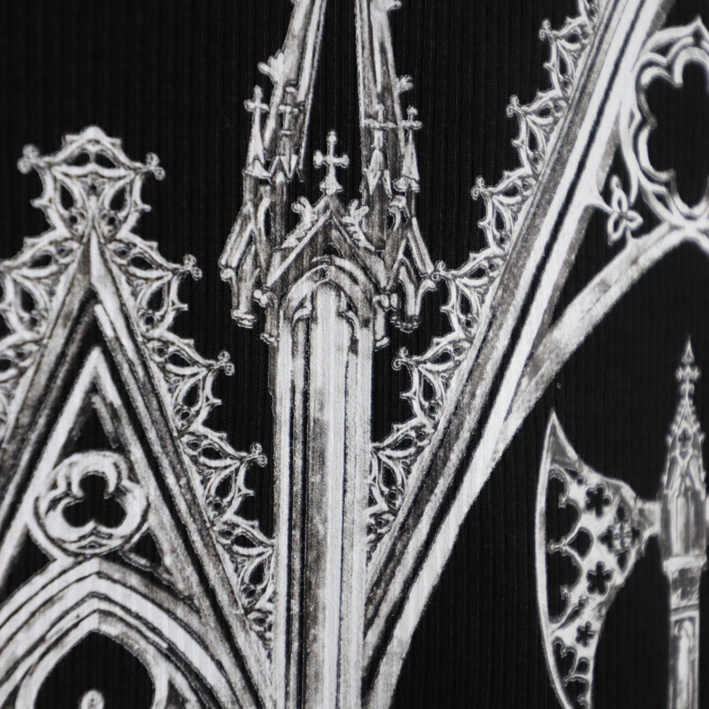 ✶ Cathedral crop tank top ✶
