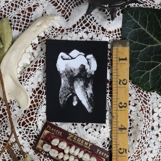 parche dental