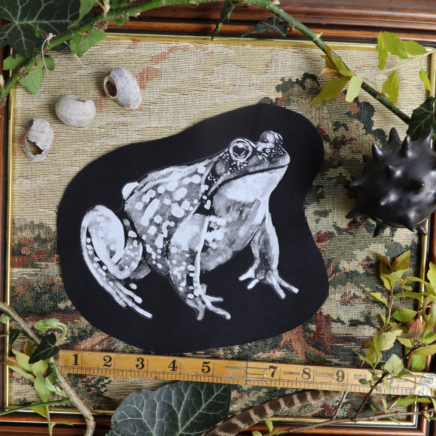 parche de ranas
